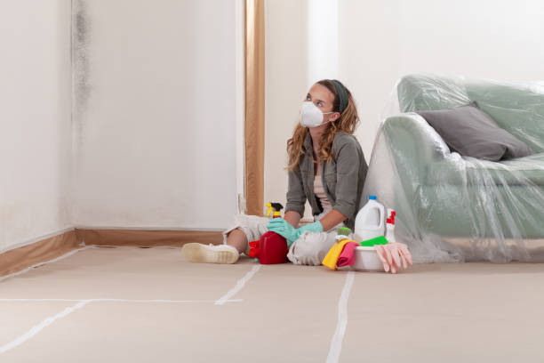 Reliable Mold Cleanup contractor in Hillsboro, OR by Cheap Mold Removal